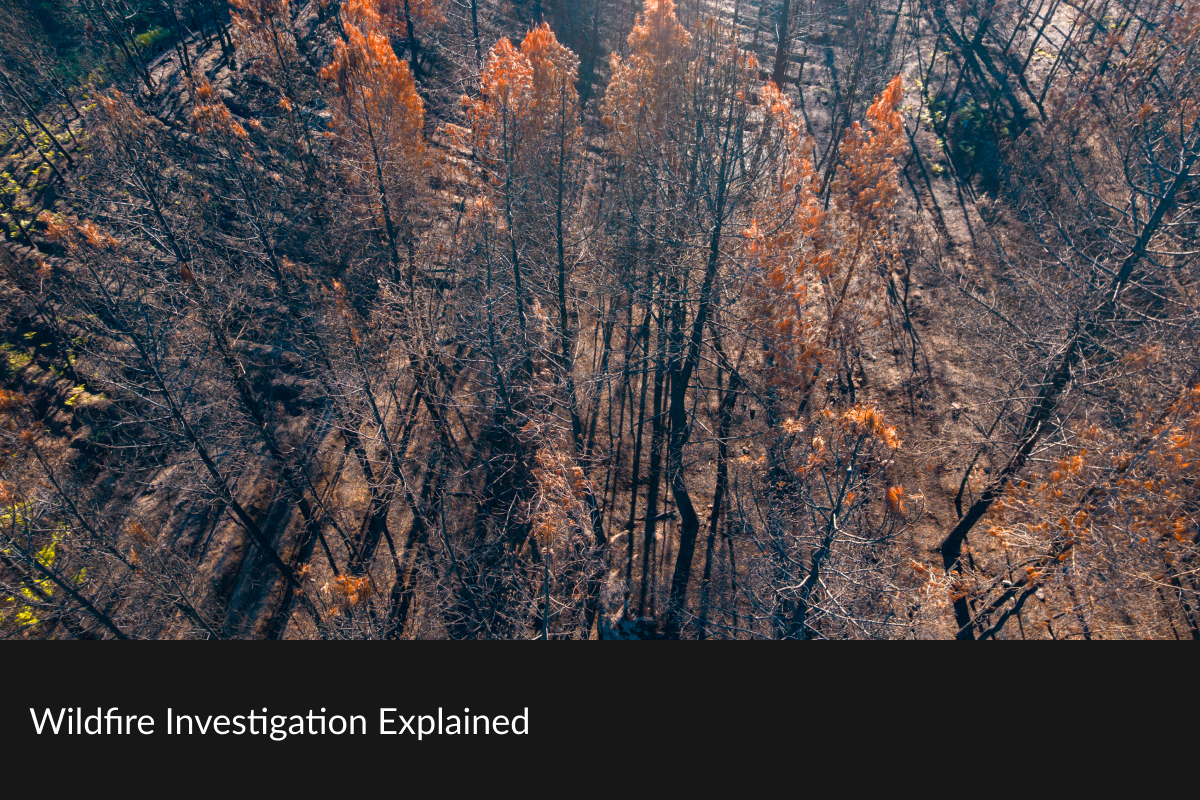 Wildfire Investigation Explained
